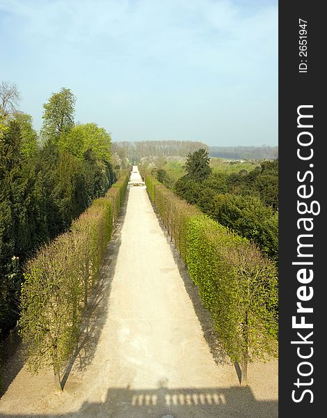 Row of Hedges along a footpath on the grounds of the Palace of Versailles, France