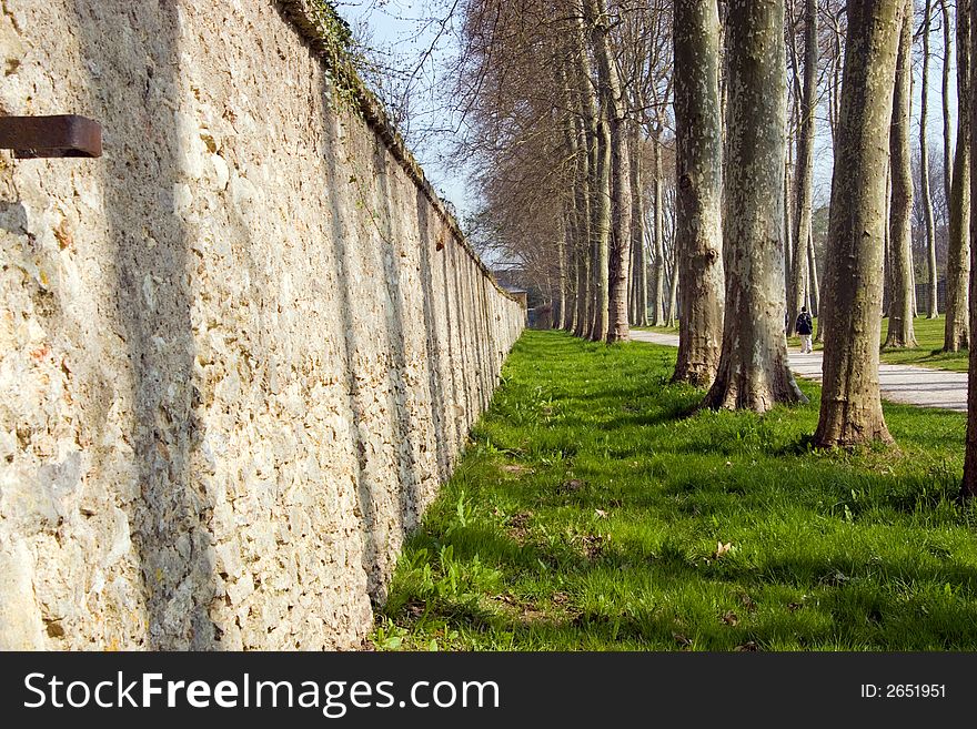 Wall along a tree-lined path in the gardens of Versailles, France
