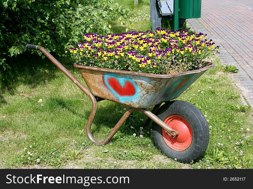 Wheelbarrow full of pansies, decorative flower bed. Wheelbarrow full of pansies, decorative flower bed.