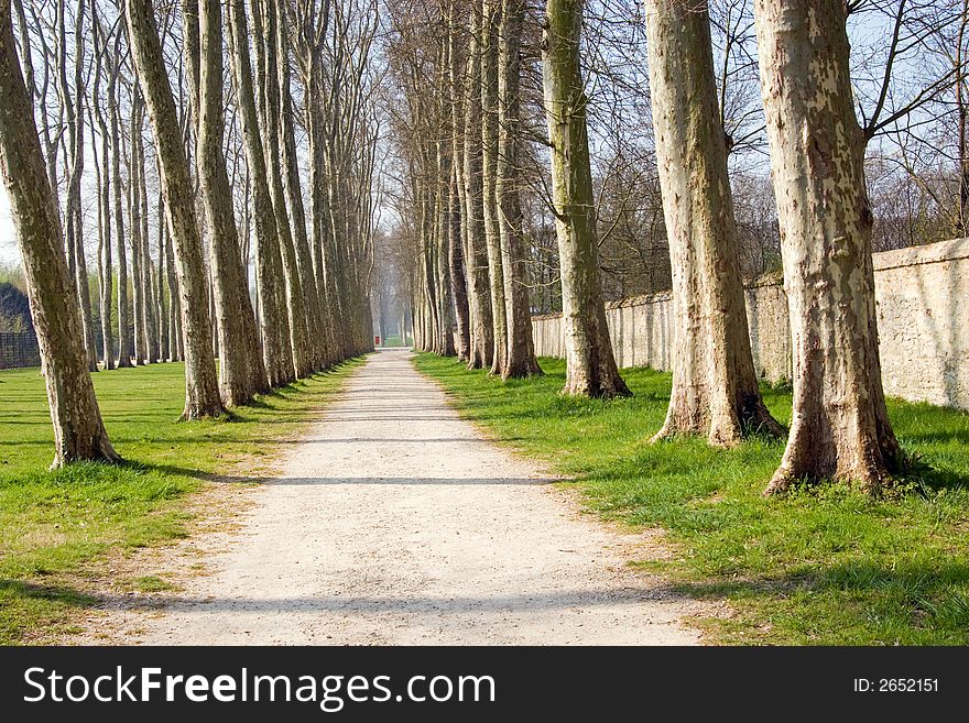 Path lined with trees on the grounds at the Palace of Versailles, France. Path lined with trees on the grounds at the Palace of Versailles, France