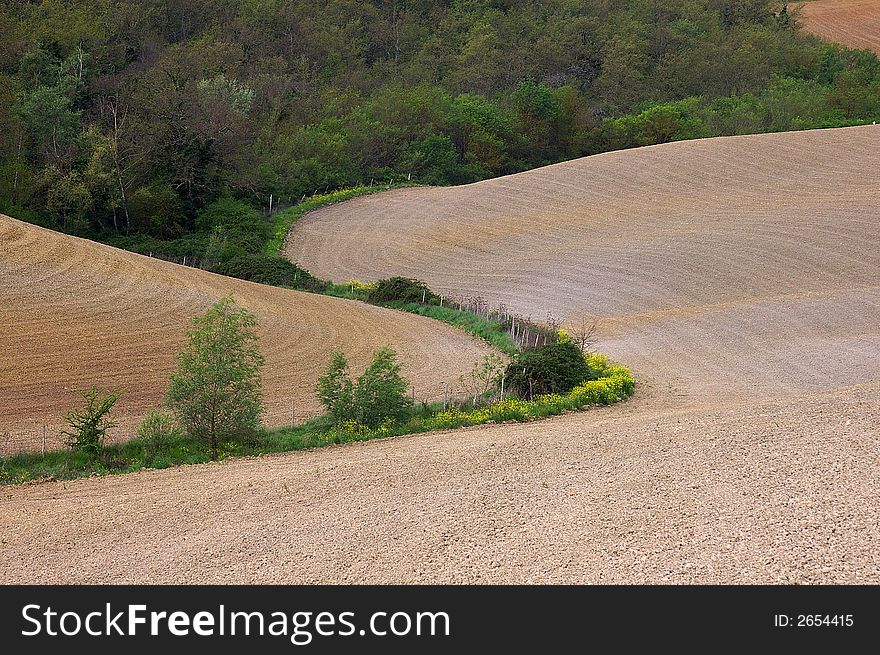 Landscape,Tuscany Val D Orcia