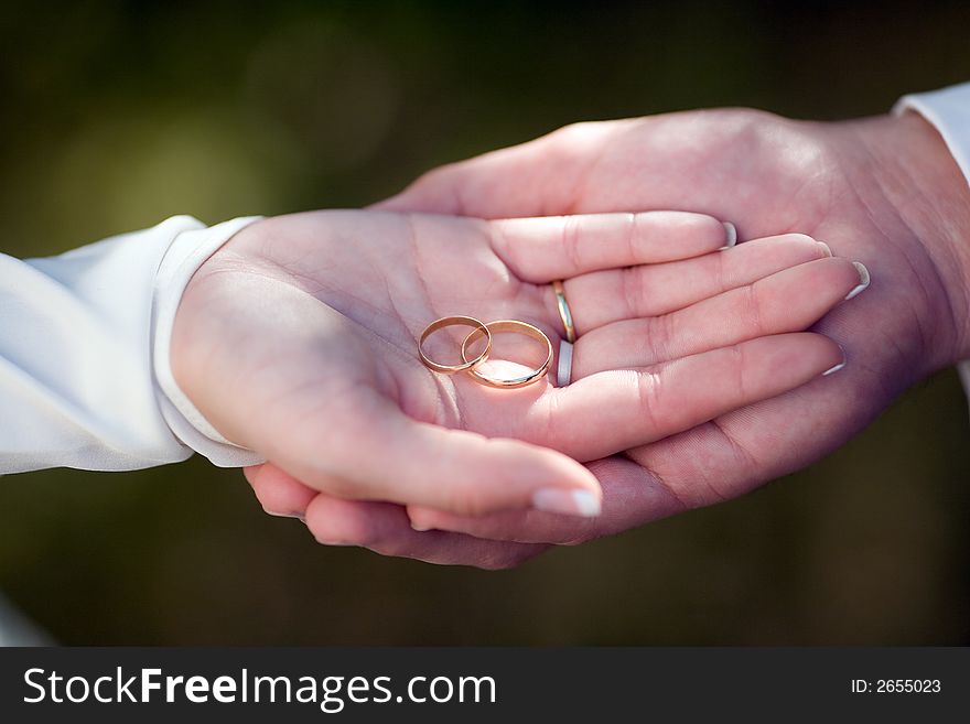 Bride and Groom's hand, showing their rings. Close-Up. Bride and Groom's hand, showing their rings. Close-Up.