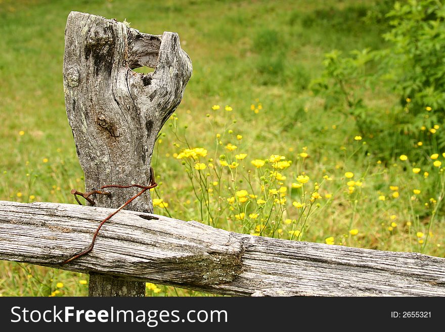 An old rail fence post with yellow flowers in background. An old rail fence post with yellow flowers in background