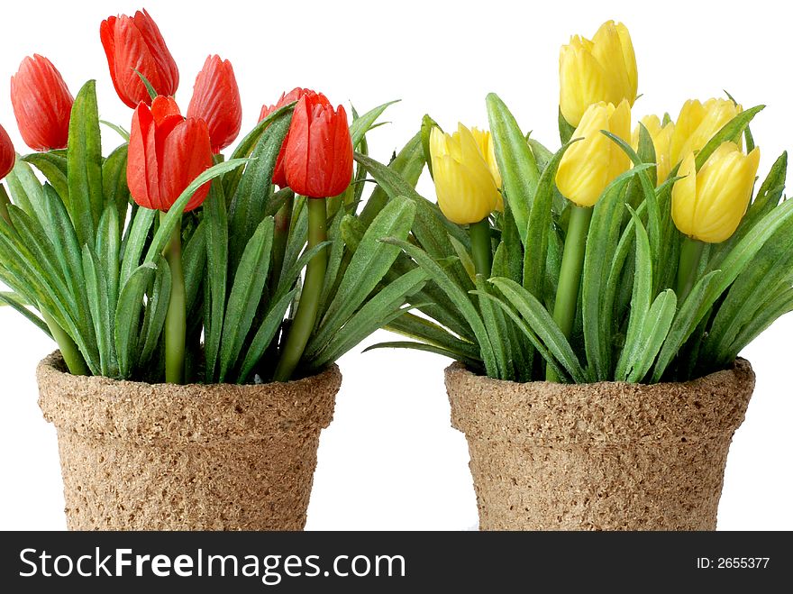 Isolated artificial Tulip with flower pot