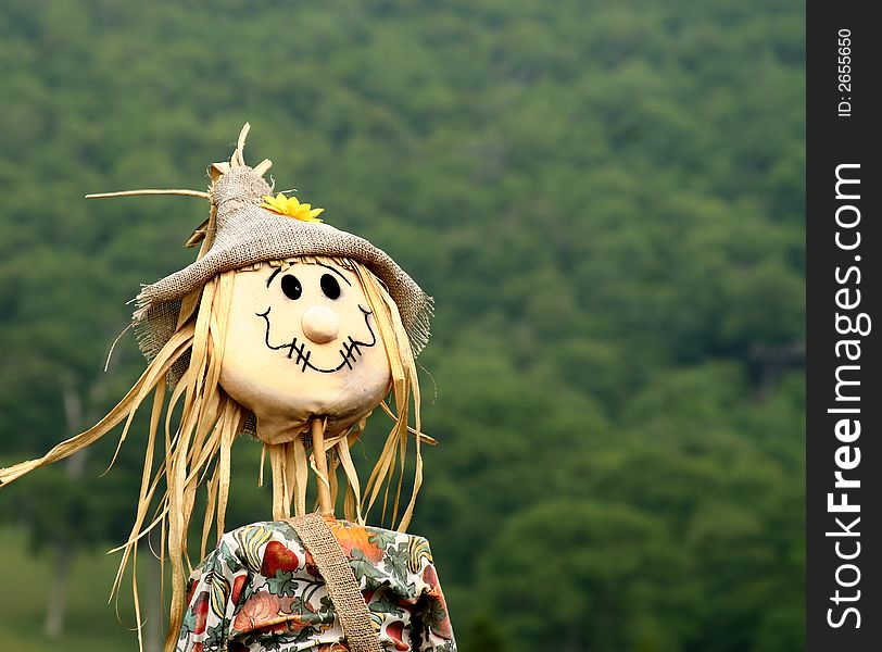 A scarecrow with a hillside of trees as background