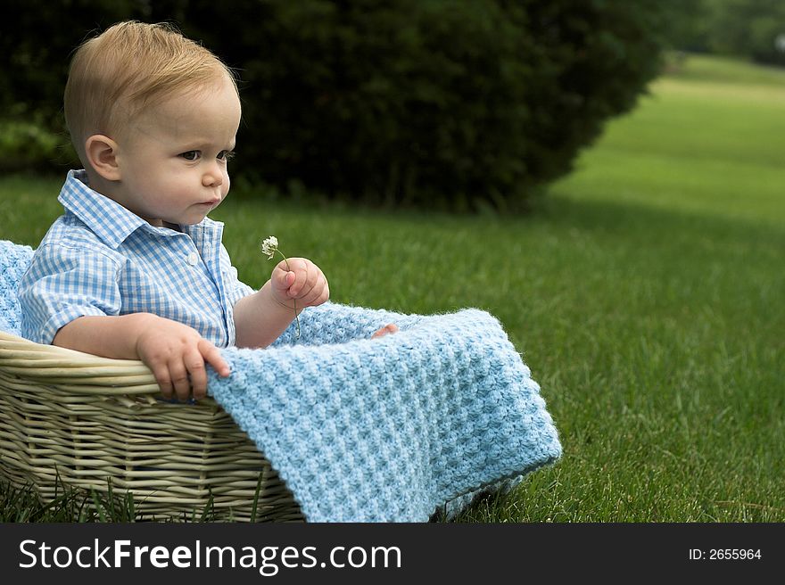 Image of beautiful toddler sitting in a basket in the grass, holding a flower. Image of beautiful toddler sitting in a basket in the grass, holding a flower