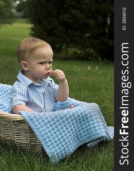 Image of beautiful toddler sitting in a basket in the grass, holding a flower. Image of beautiful toddler sitting in a basket in the grass, holding a flower