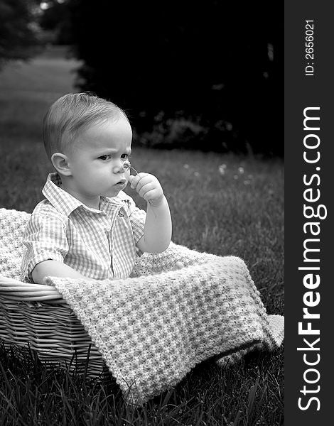 Black and white image of beautiful toddler sitting in a basket in the grass, holding a flower. Black and white image of beautiful toddler sitting in a basket in the grass, holding a flower