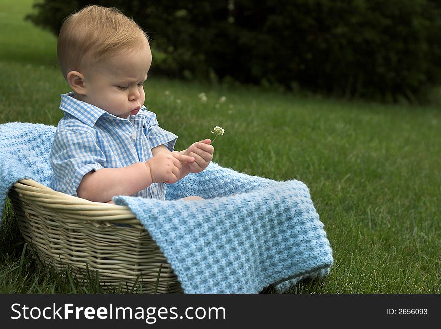 Image of beautiful toddler sitting in a basket in the grass, holding a flower. Image of beautiful toddler sitting in a basket in the grass, holding a flower