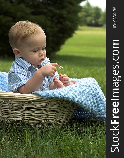 Image of beautiful toddler sitting in a basket in the grass, holding a flower. Image of beautiful toddler sitting in a basket in the grass, holding a flower