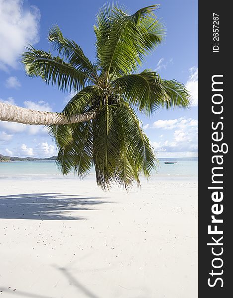 Pristine beach of Praslin tropical resort island, Seychelles. Pristine beach of Praslin tropical resort island, Seychelles