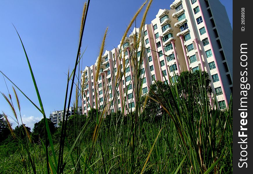 Modern building and grass in the city