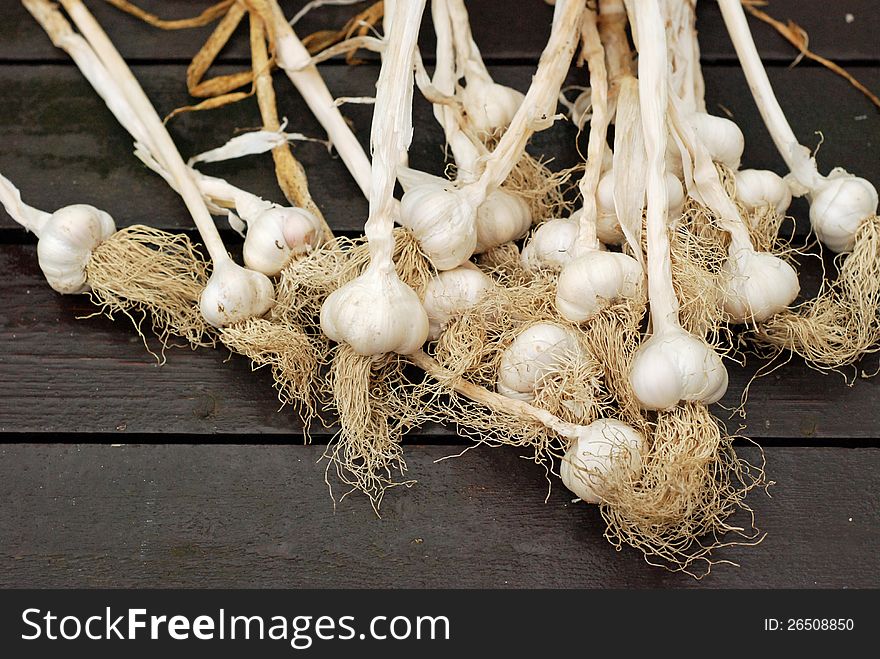 Dried Garlic Heads With Stems Ready For Braiding