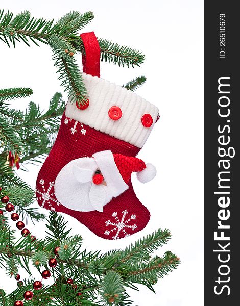 Christmas Sock With Santa Claus On On Fir Branch.