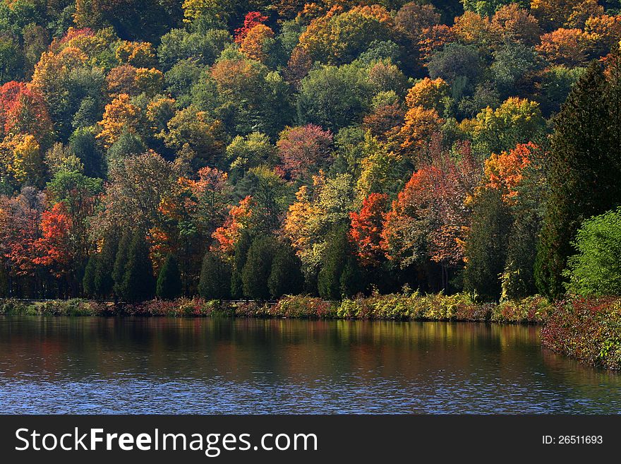 Allegheny state park in New York state