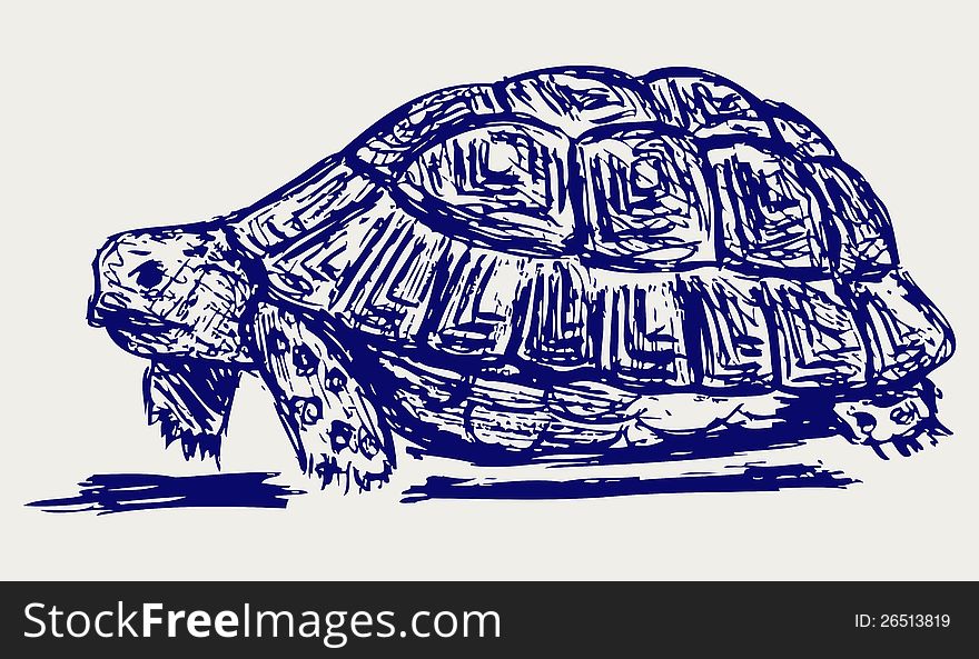Ear tortoise. Doodle style. Vector