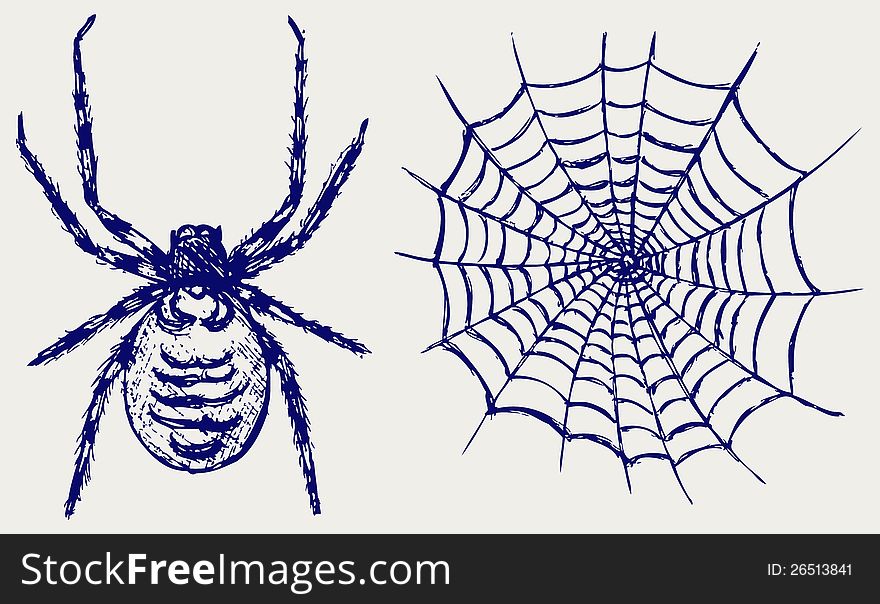 Spider and cobweb. Doodle style. Vector