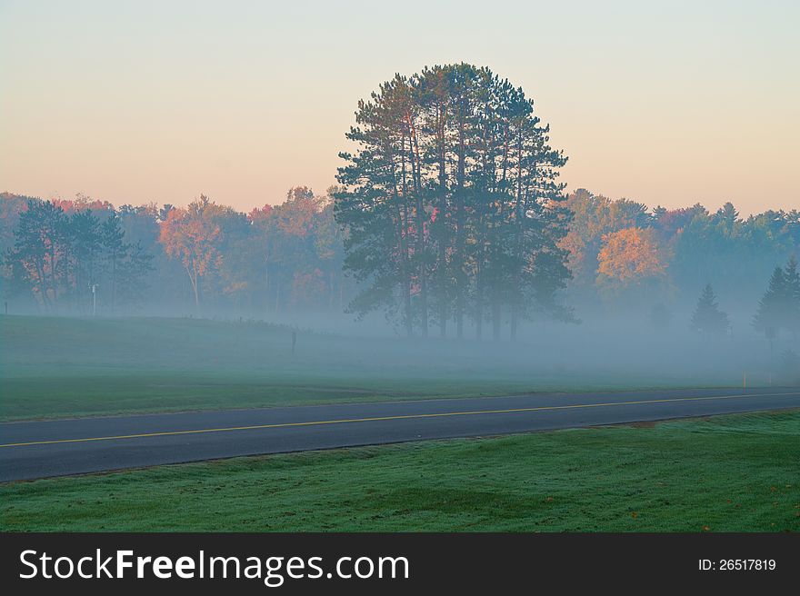 Autumn morning landscape with trees and road in a field. Autumn morning landscape with trees and road in a field.