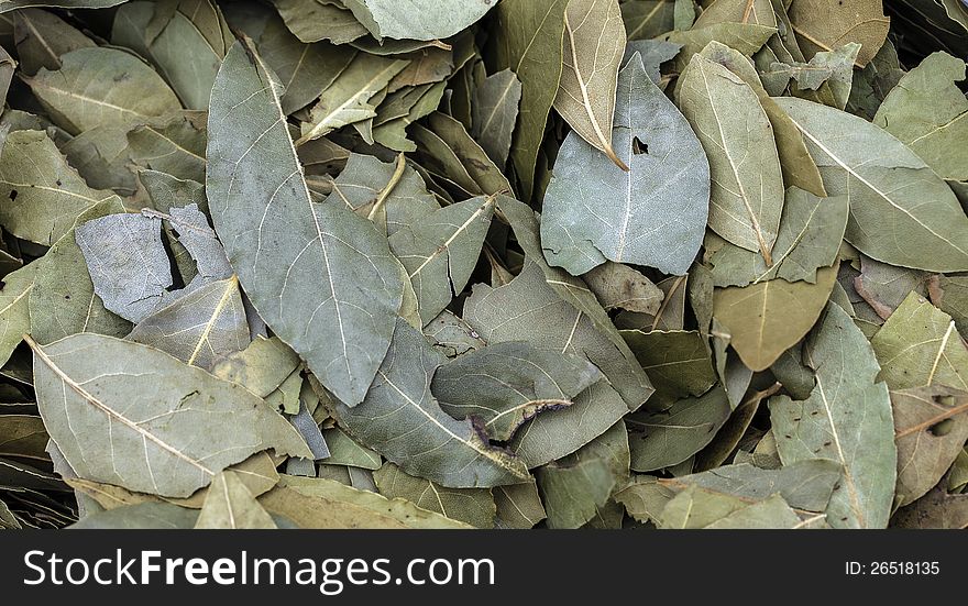 A Pile Of Fallen Leaves