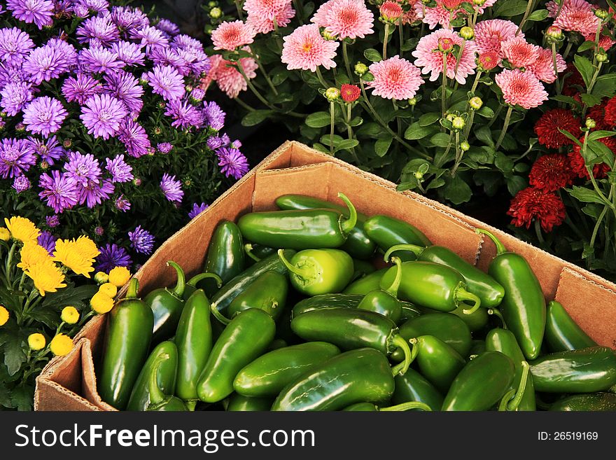 Jalapeno peppers in box with flowers around them. Jalapeno peppers in box with flowers around them