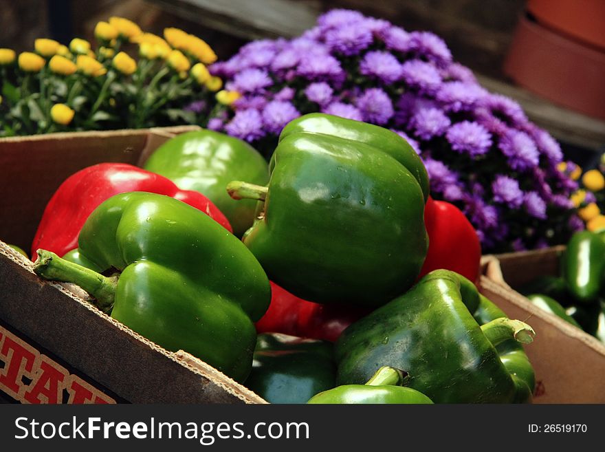 Large green & red bell peppers at tailgate market. Large green & red bell peppers at tailgate market