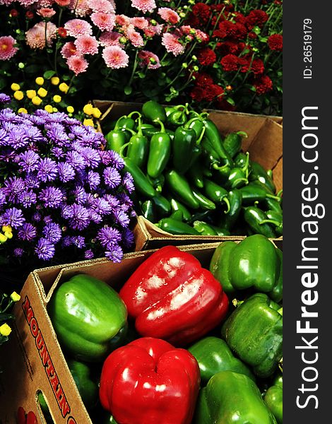 Green & red bell peppers and jalapenos & flowers at farmers market. Green & red bell peppers and jalapenos & flowers at farmers market