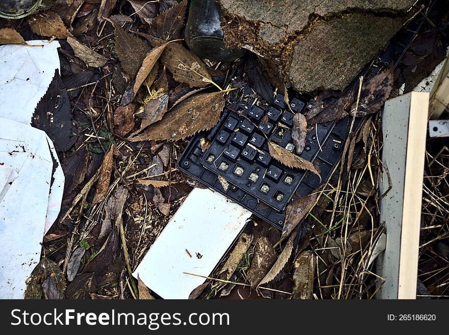 Broken keyboard with foliage seen from above