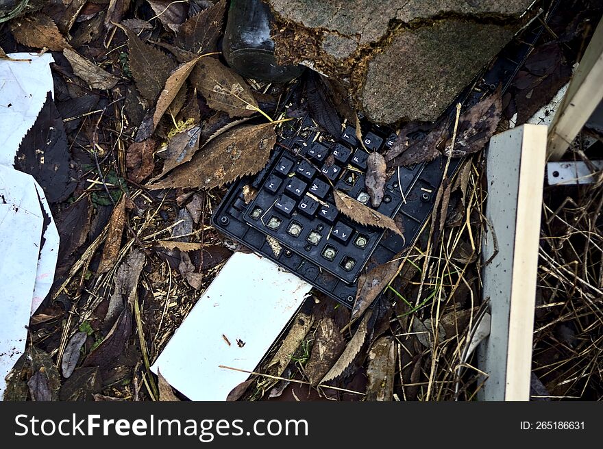 Broken Keyboard With Foliage Seen From Above