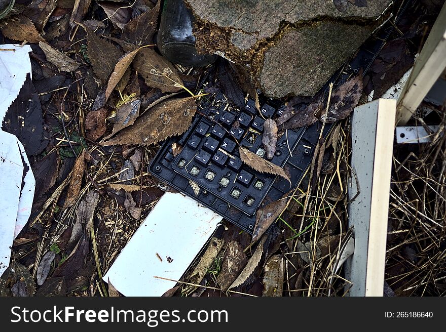 Broken keyboard with foliage seen from above