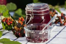 Self-made Blackberry Jam Royalty Free Stock Photography Self-made Blackberry Jam Royalty Free Stock Photography