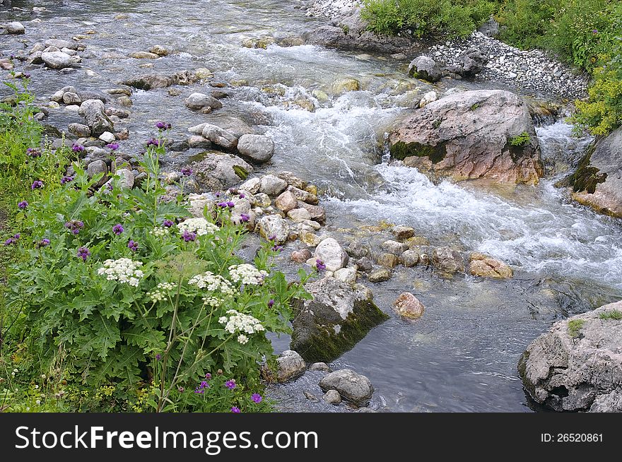 Clean mountain river of grass and flowers