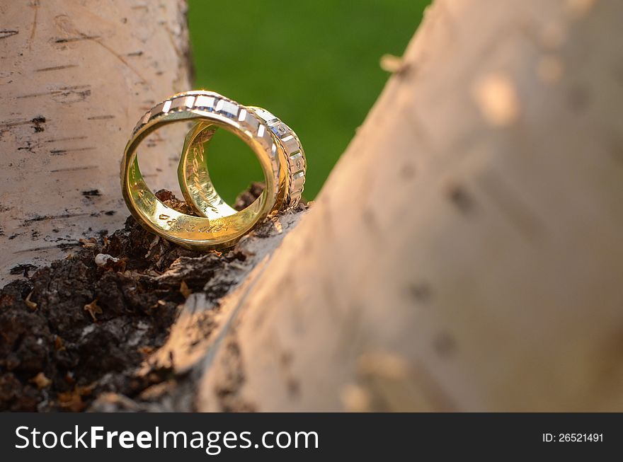 Wedding Rings on a tree