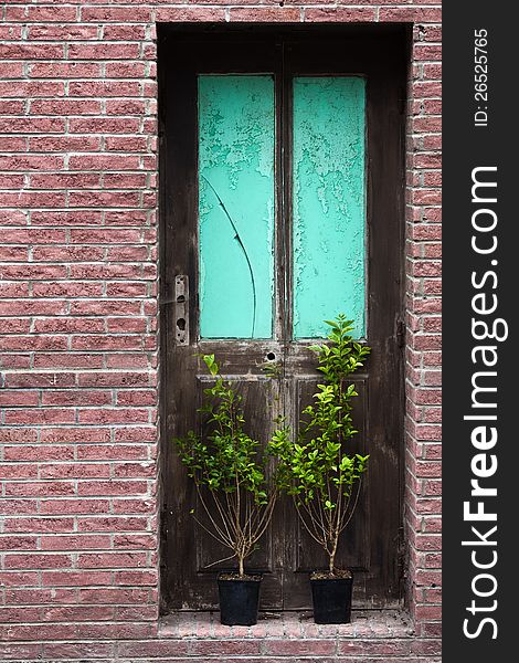 Damaged door in an abandoned house with plant pots in front of it