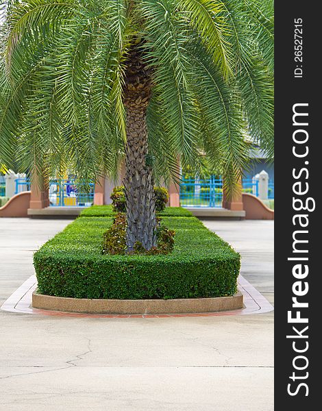 Topiary and palm trees on the pathway in the park. Topiary and palm trees on the pathway in the park