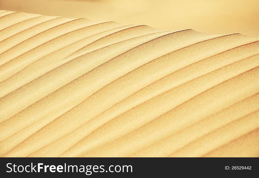 Sand dune, close up view