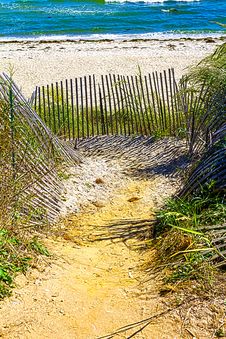 Path To The Beach Royalty Free Stock Photo Path To The Beach Royalty Free Stock Photo