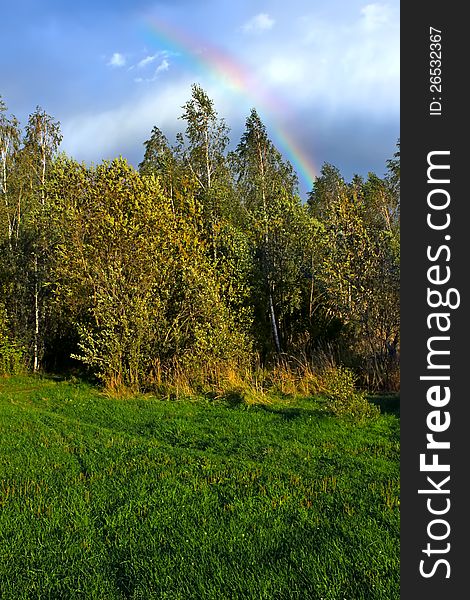 Picturesque autumn landscape with rainbow over the woodland. Picturesque autumn landscape with rainbow over the woodland