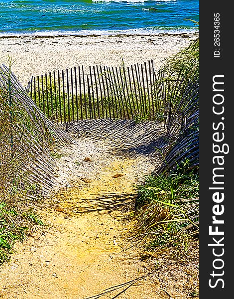 A curving pathway to the beach. A curving pathway to the beach