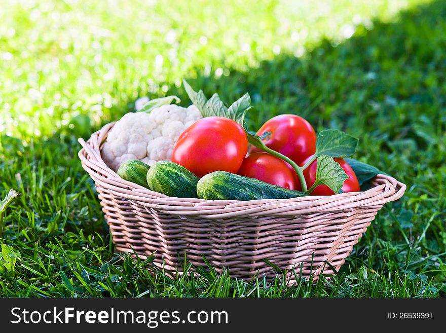 Vegetables in basket on a green grass