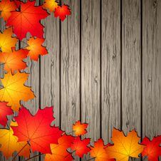 Autumn Leaves Over Wooden Background. Stock Images Autumn Leaves Over Wooden Background. Stock Images