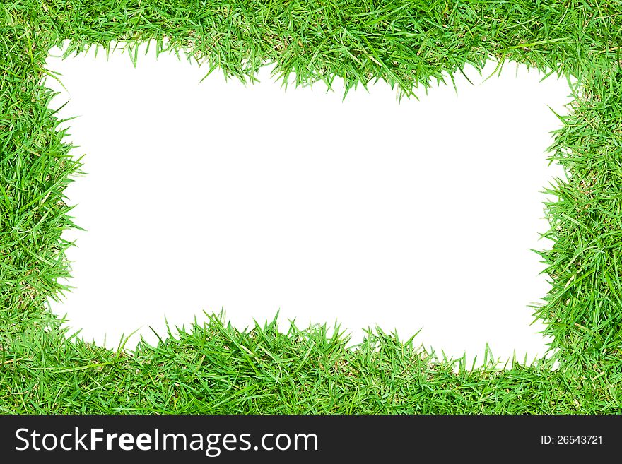 Grass frame on white background. Grass frame on white background