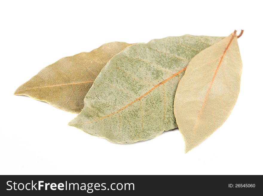 Three dried bay (laurel) leaves on a white background. Three dried bay (laurel) leaves on a white background