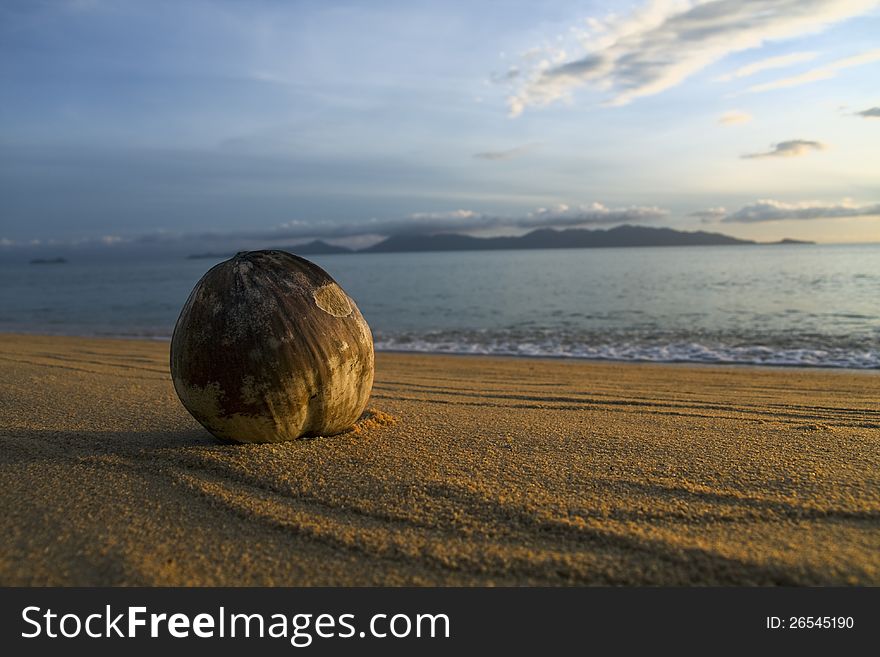 Gorgeous beach on the island of Koh Samui in Thailand  with coconut. Gorgeous beach on the island of Koh Samui in Thailand  with coconut