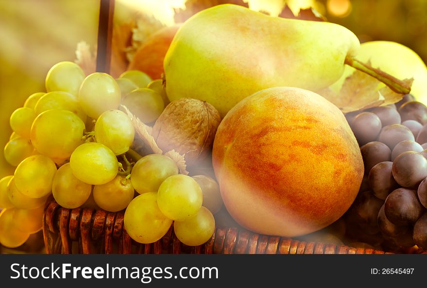 Organic fruits - autumn fruits