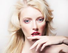Beauty Style - Shiny Model Blonde Girl Face Stock Image Beauty Style - Shiny Model Blonde Girl Face Stock Image