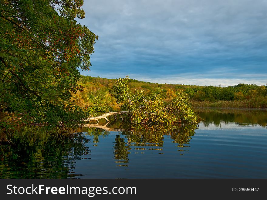 Landscape With Tree