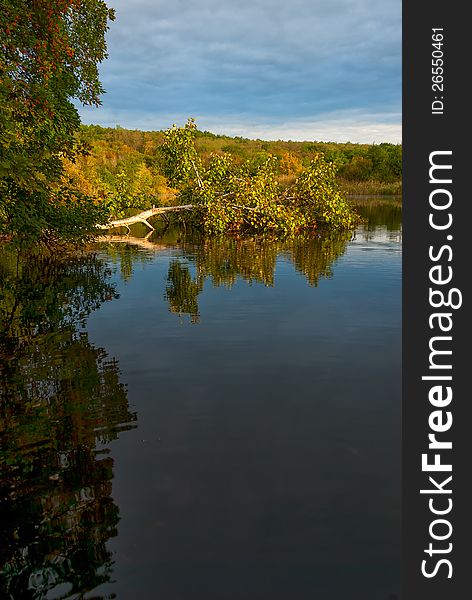 Landscape with tree in water