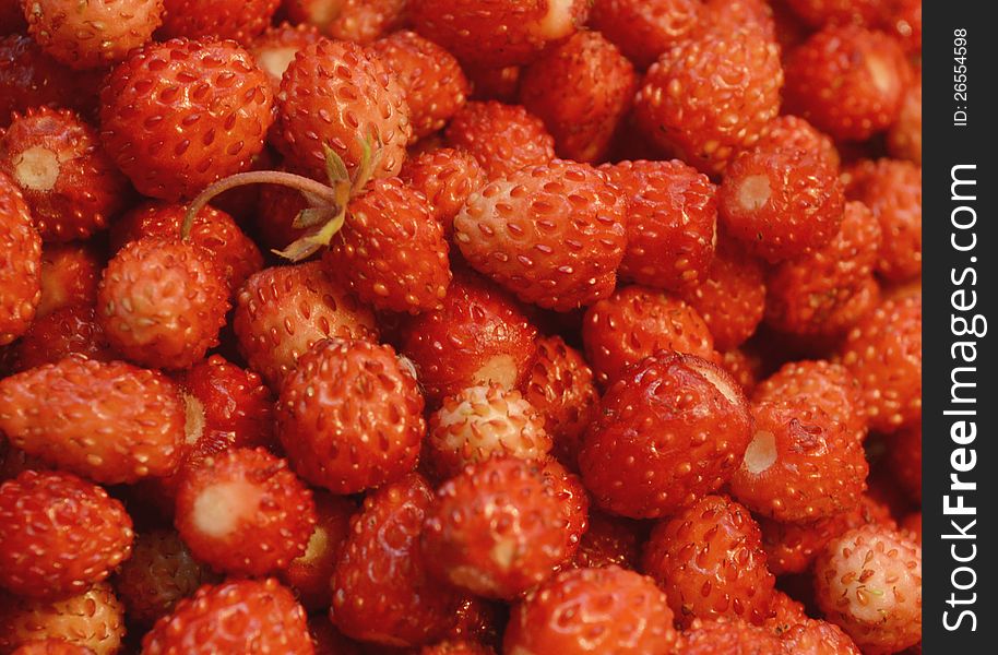Many berries juicy strawberries as a background