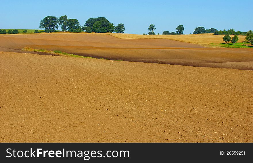 Nice shot of a harvested field in autumn or fall landscape. Nice shot of a harvested field in autumn or fall landscape