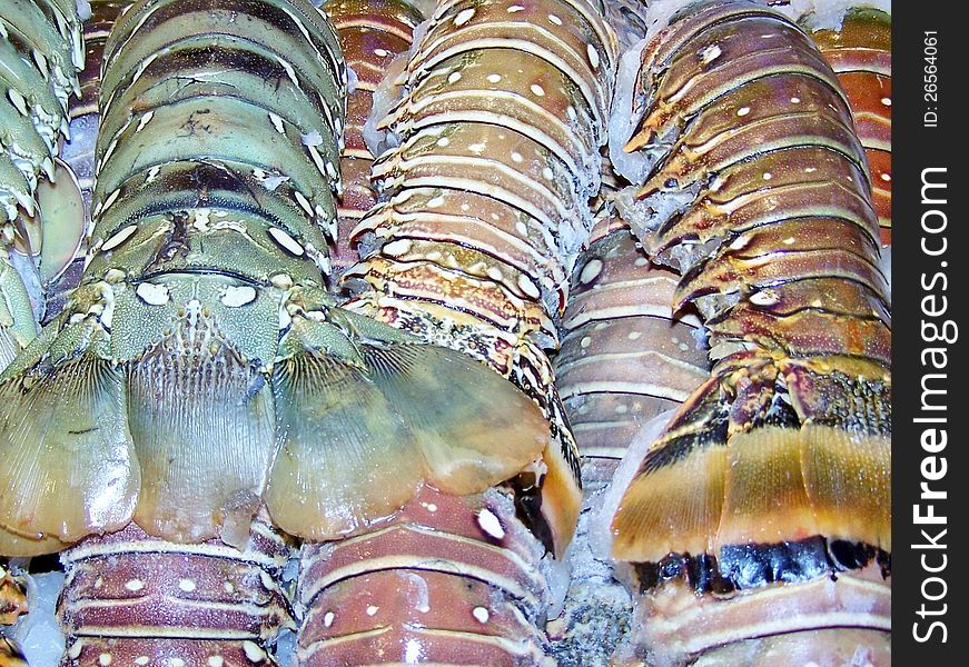 Lobster tails at fish market